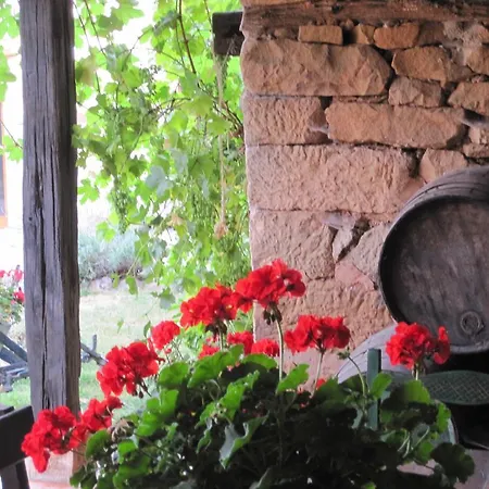 La Casa De Lucia Matalbaniega